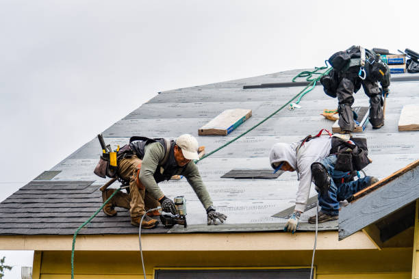 Professional Roof Replacement technician working in Halfway, OR